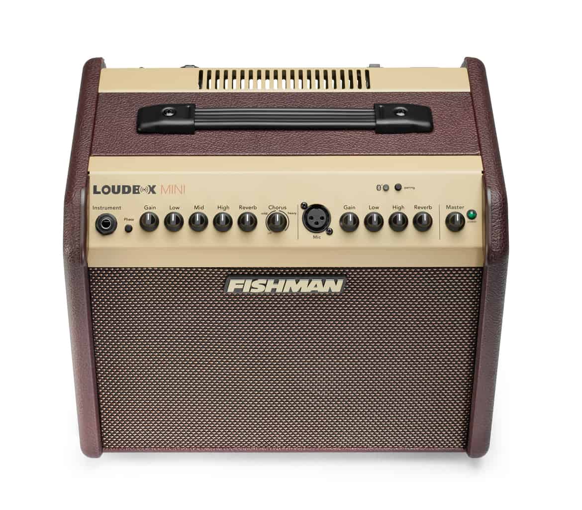 Fishman - Loudbox Mini