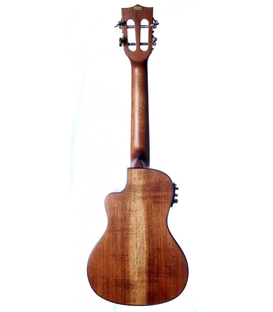 Kala - Solid Blackwood w/Hardcase