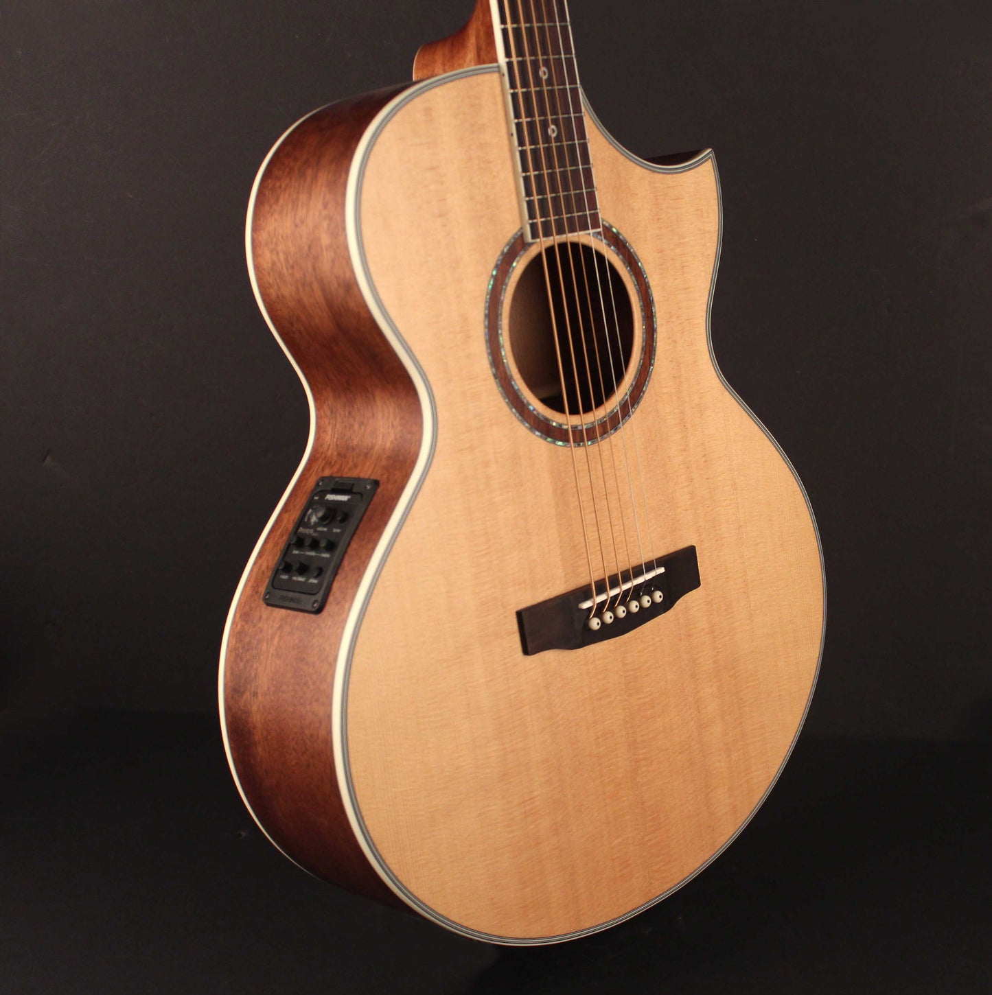 Cort - NDX Baritone NX
