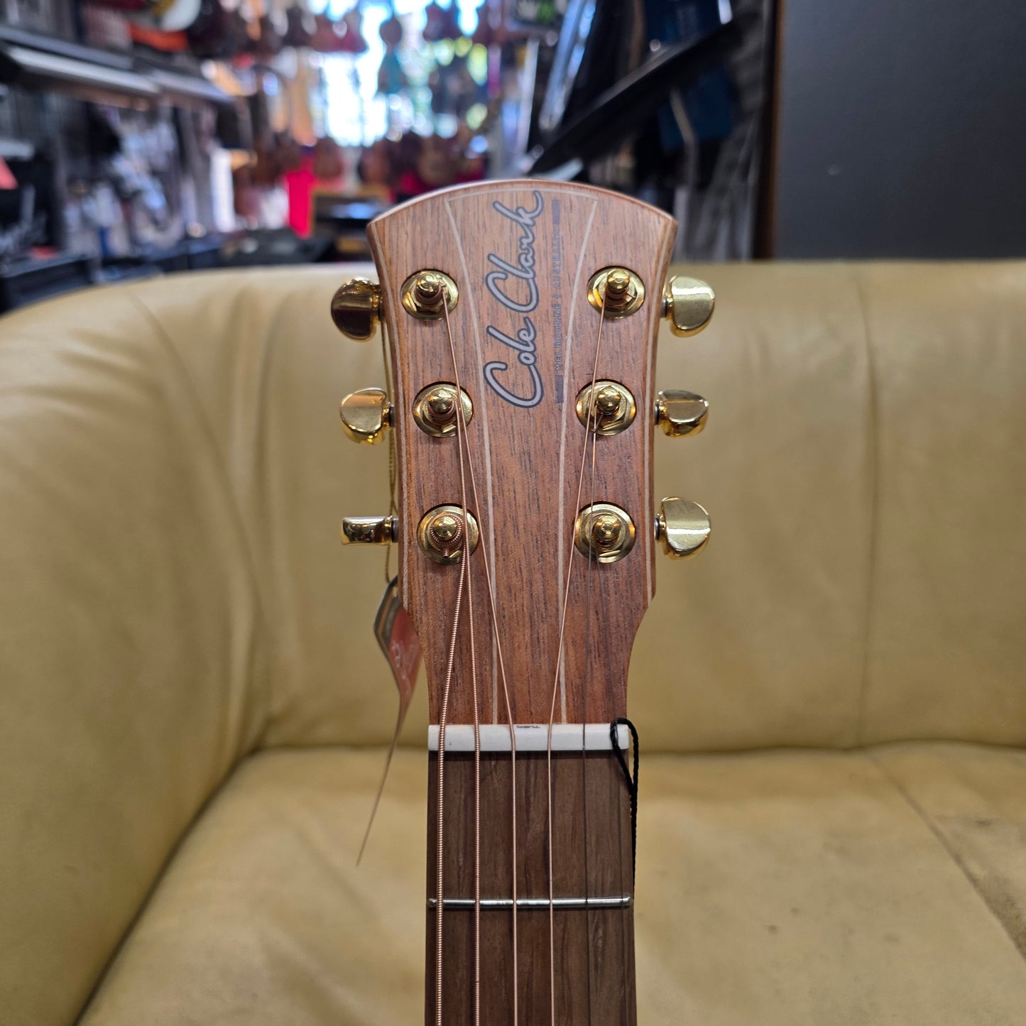 Cole Clark - Little Lady Bunya Blackwood