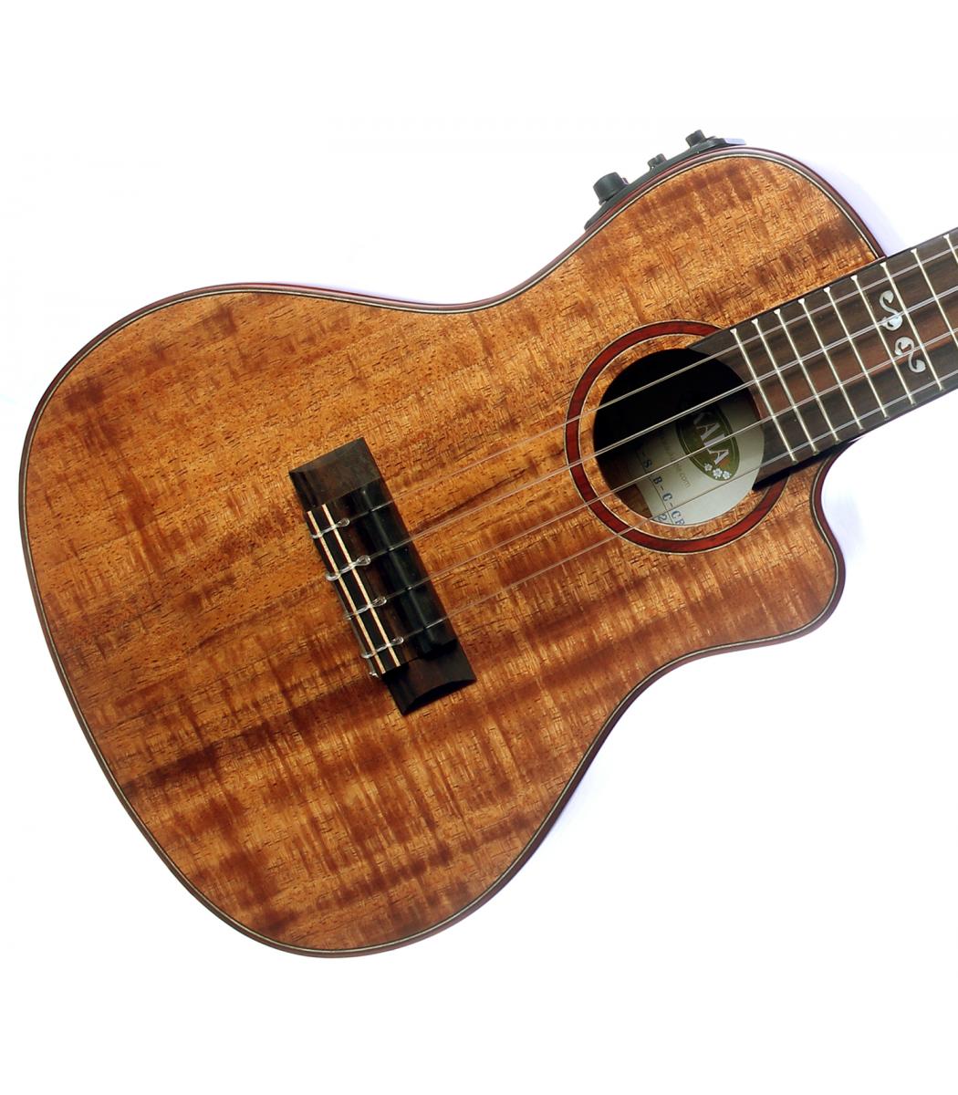 Kala - Solid Blackwood w/Hardcase