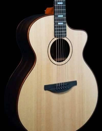 Fenech - VTPR Grand Auditorium Cutaway Spruce Rosewood