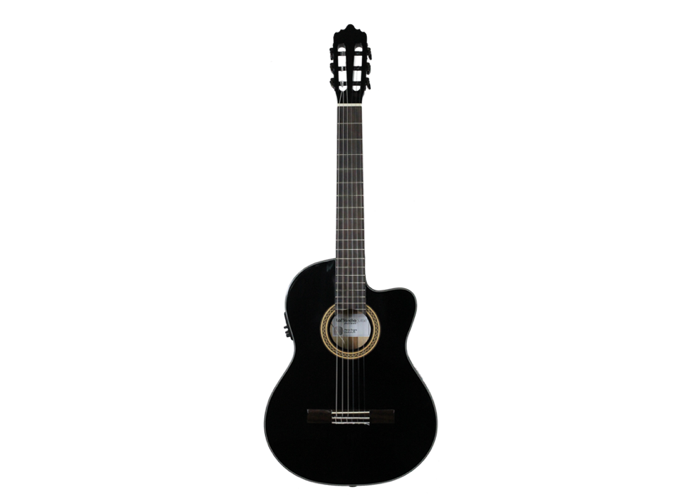 La Mancha - La Perla Negra with Pickup Cutaway