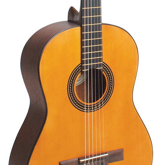 Valencia - 200 Series Classical Guitar