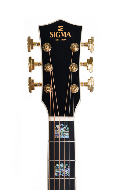 Sigma - GJR SG300 w/gig bag