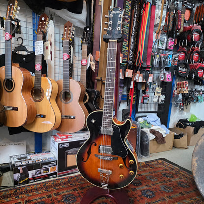 D’agostino - MIJ Jazzbox Electric Guitar