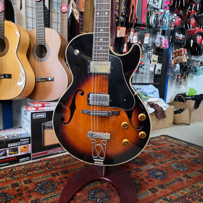 D’agostino - MIJ Jazzbox Electric Guitar